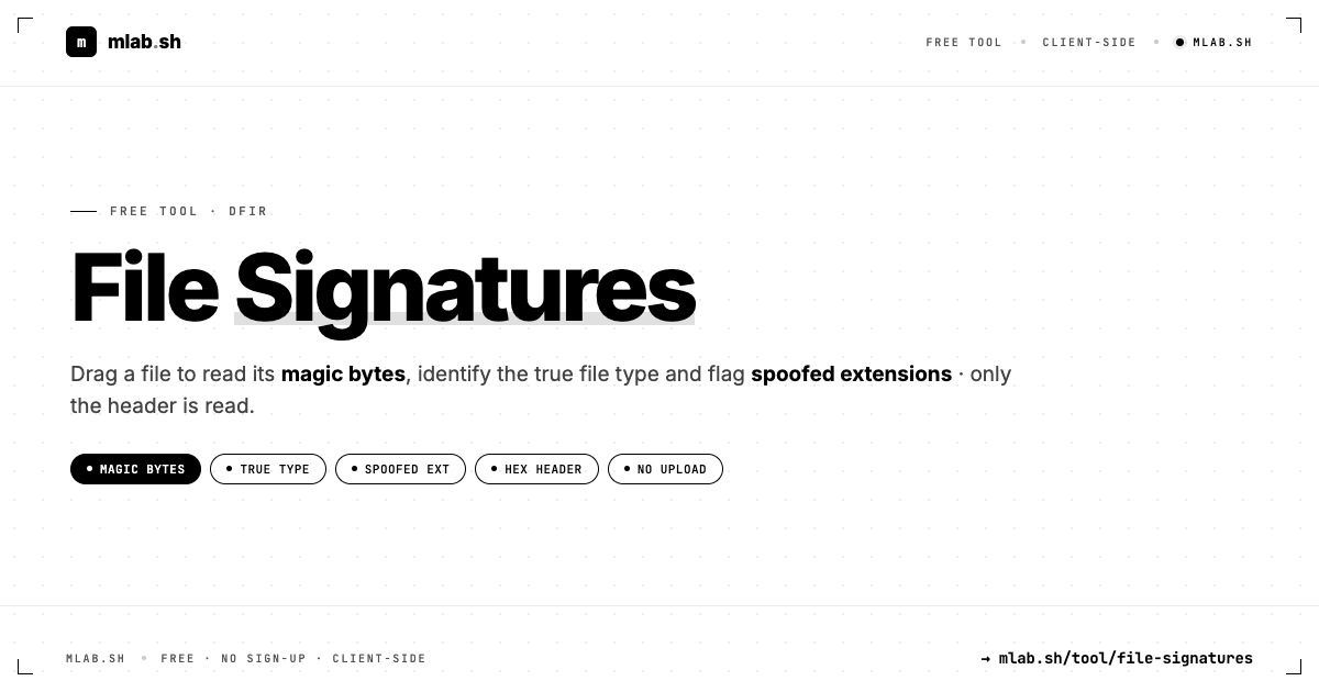 File Signature / Magic Bytes Identifier · Detect True File Type | mlab.sh